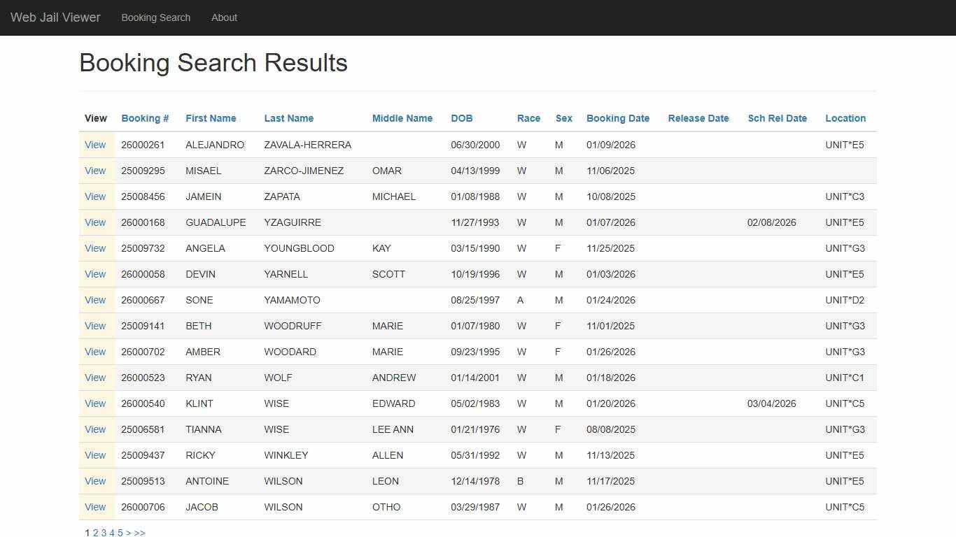 BookingSearchDetail - Web Jail Viewer